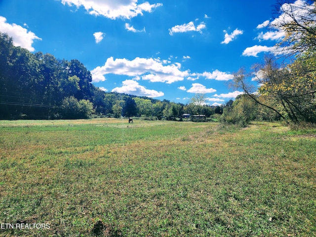 view of yard with a rural view