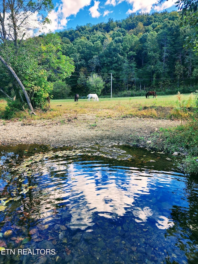 water view