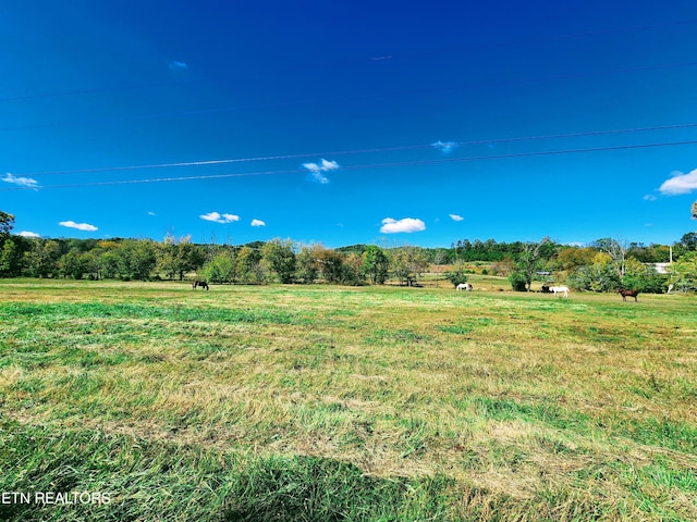 view of yard with a rural view