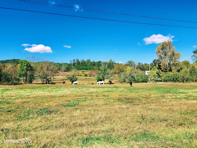 view of yard featuring a rural view