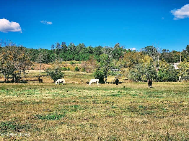 view of yard with a rural view