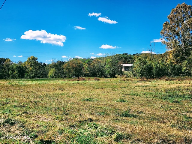 view of yard with a rural view