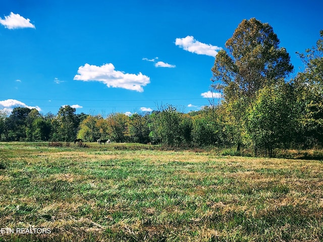 view of nature with a rural view