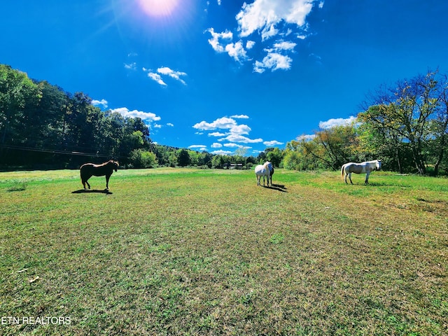 view of yard with a rural view