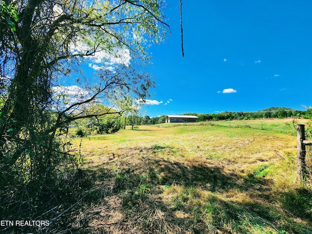 view of yard with a rural view