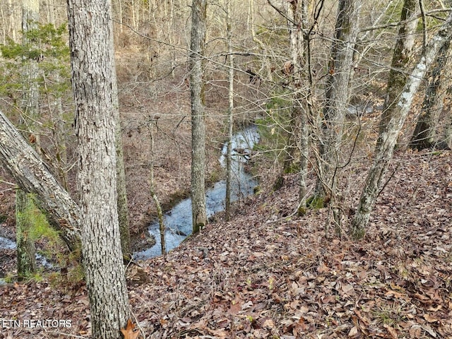 view of local wilderness