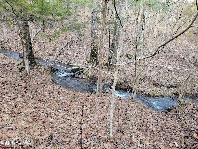 view of landscape