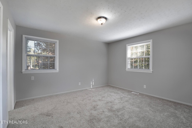 carpeted empty room with a textured ceiling and a wealth of natural light