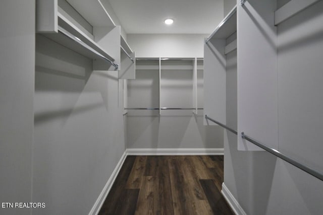 spacious closet with dark wood-type flooring