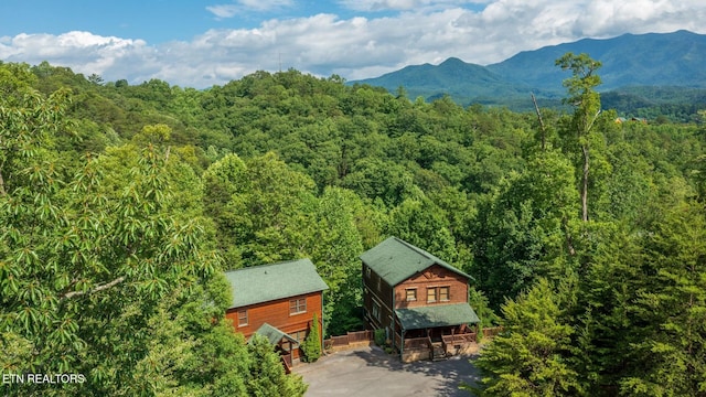 aerial view of a forest and a mountain backdrop