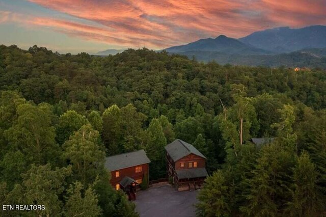 aerial view at dusk of a view of trees and a mountain view