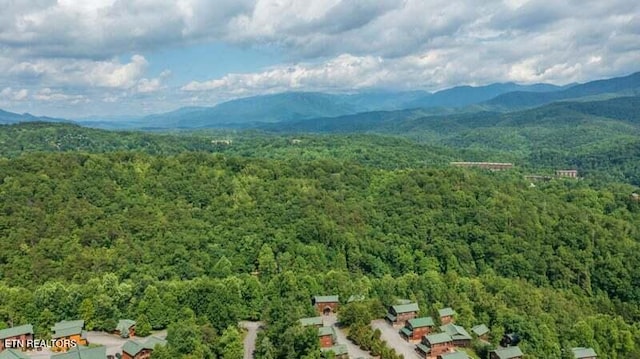 bird's eye view with a forest view and a mountain view