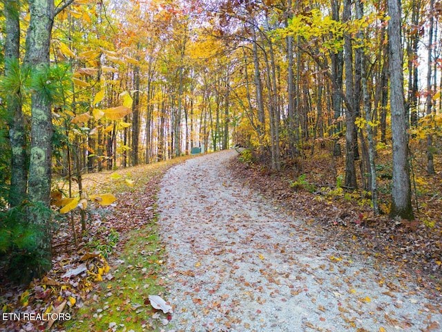 1149 Panther Branch Rd, Jamestown, TN 38556 - view of street with a view of trees