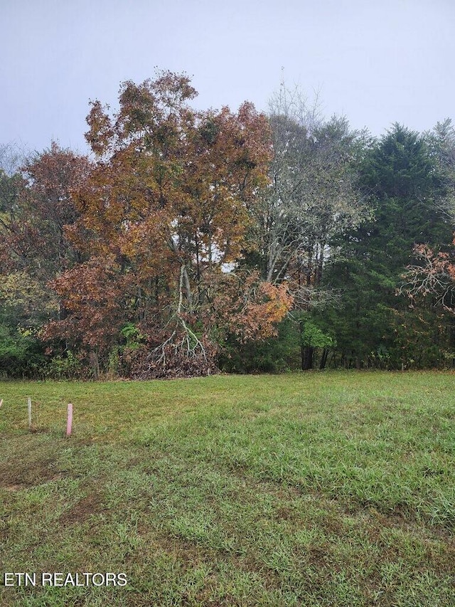 Listing photo 3 for Deer Chase Trl, Dandridge TN 37725