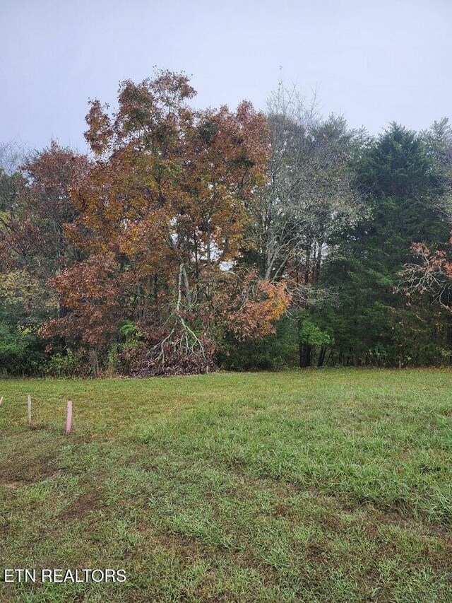 Deer Chase Trl, Dandridge, TN 37725 - photo 3