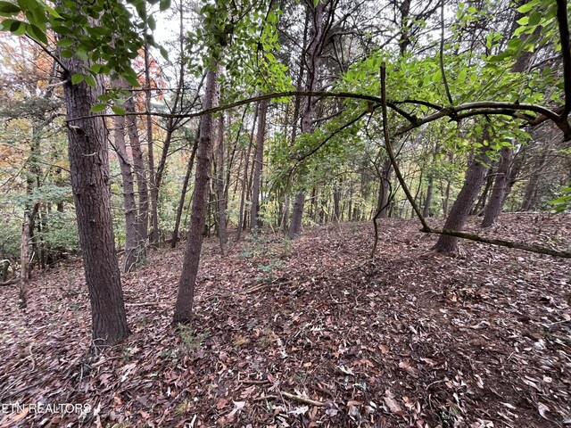 Deer Chase Trl, Dandridge, TN 37725 - photo 5