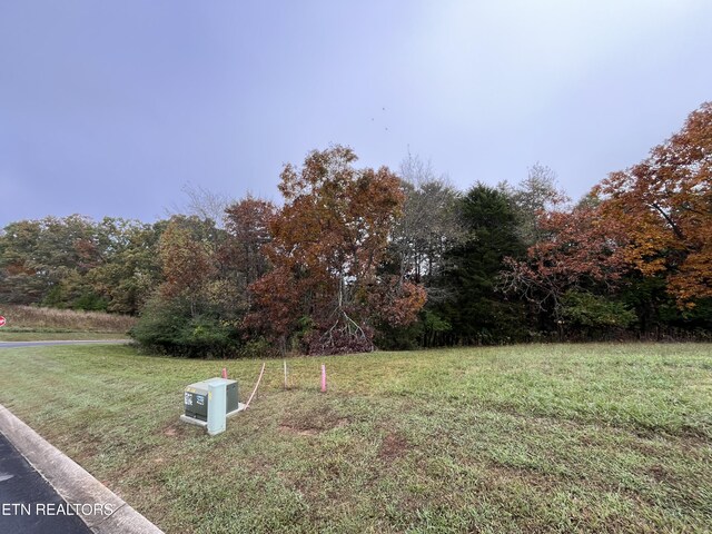 Deer Chase Trl, Dandridge, TN 37725 - photo 1