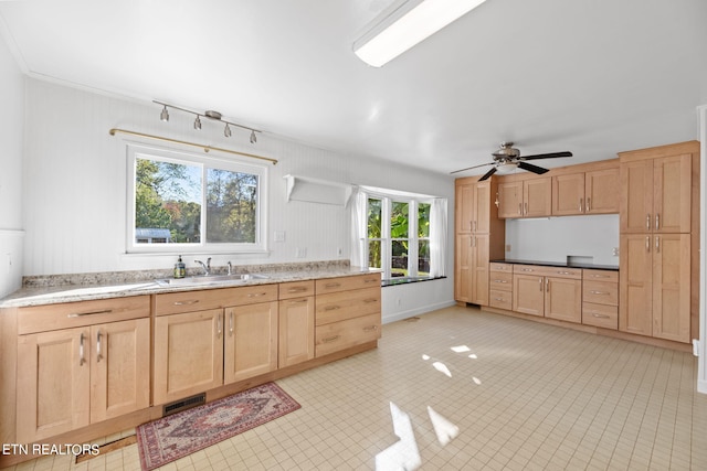 kitchen with light brown cabinetry, ornamental molding, sink, and ceiling fan