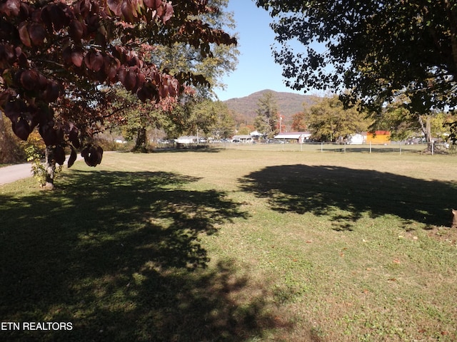 view of yard featuring a mountain view