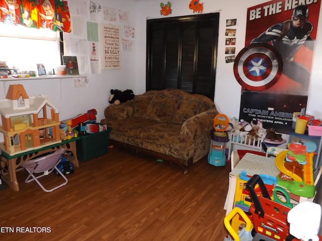 playroom featuring hardwood / wood-style flooring