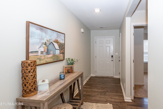 entryway featuring dark wood-type flooring