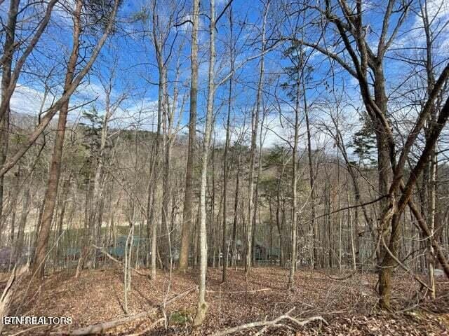 Hiawatha Ln, Caryville, TN 37714
