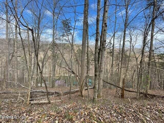 Hiawatha Ln, Caryville, TN 37714