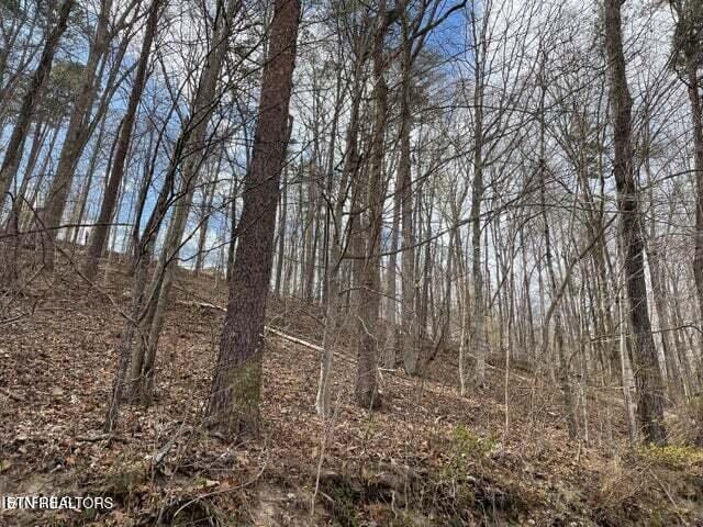 Hiawatha Ln, Caryville, TN 37714