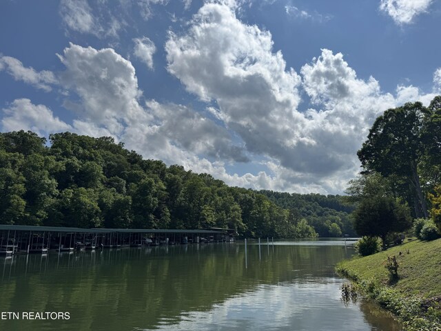 Hiawatha Ln, Caryville, TN 37714