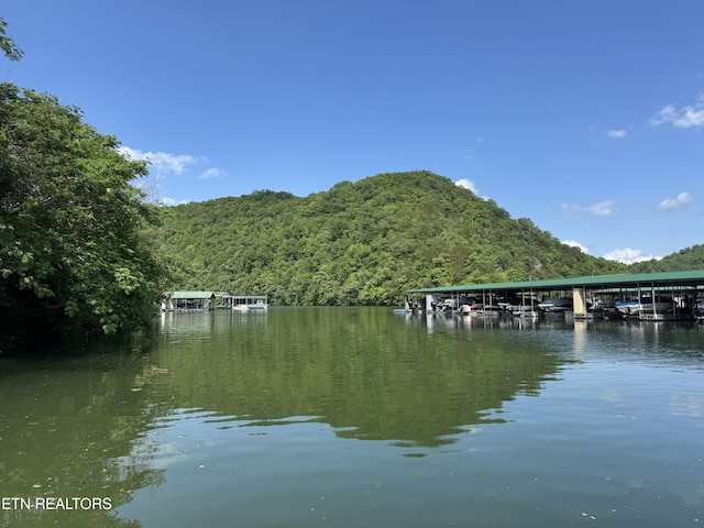 Hiawatha Ln, Caryville, TN 37714