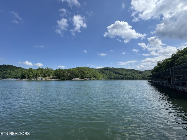 Hiawatha Ln, Caryville, TN 37714