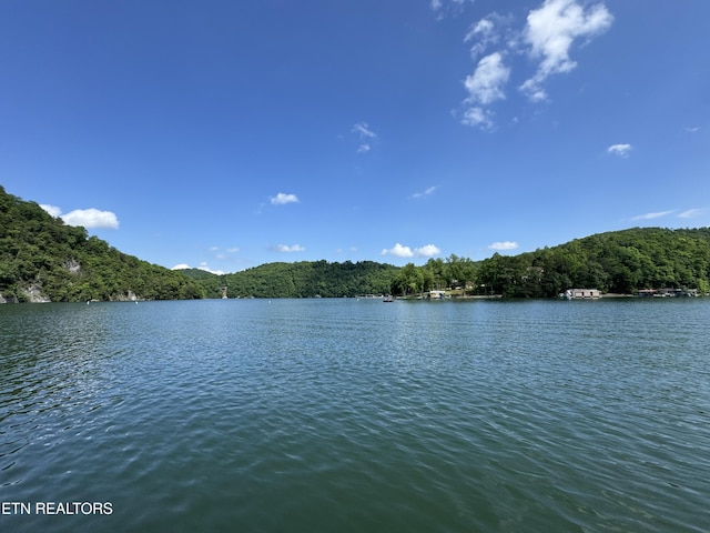 Hiawatha Ln, Caryville, TN 37714