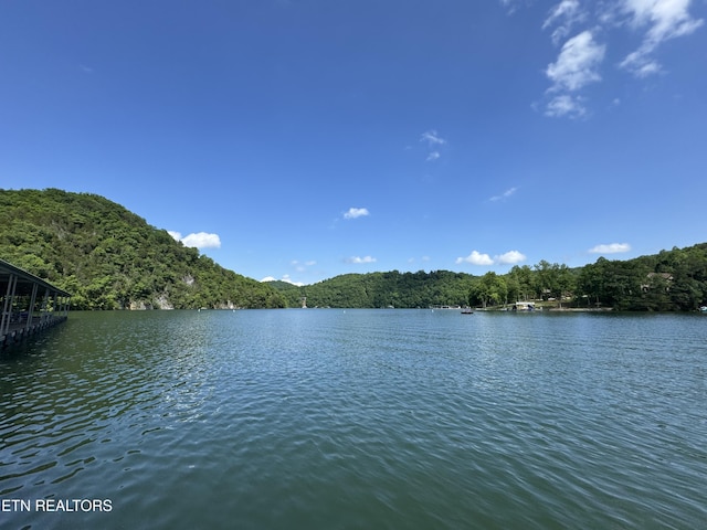 Hiawatha Ln, Caryville, TN 37714
