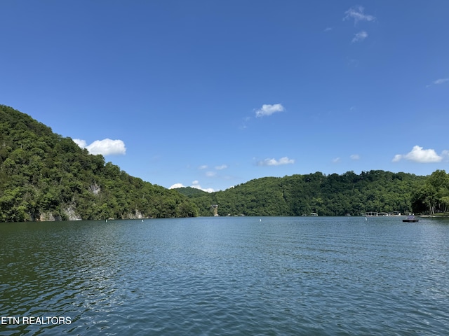 Hiawatha Ln, Caryville, TN 37714