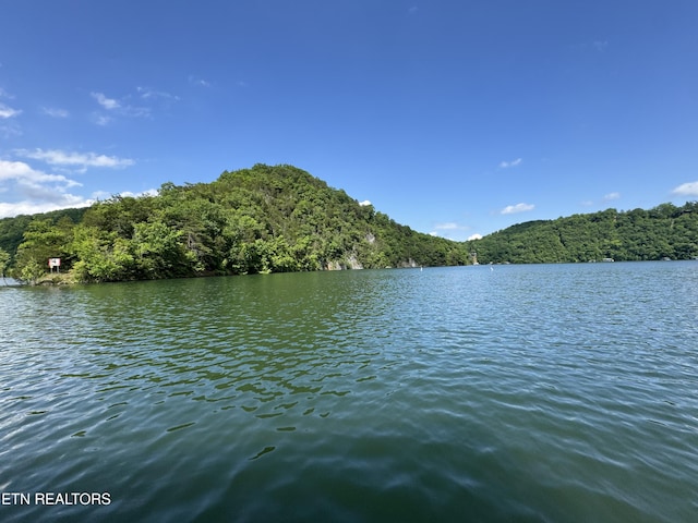 Hiawatha Ln, Caryville, TN 37714