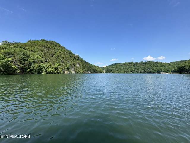 Hiawatha Ln, Caryville, TN 37714