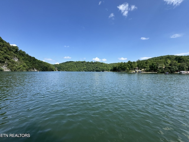 Hiawatha Ln, Caryville, TN 37714