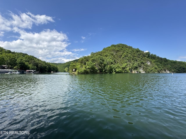 Hiawatha Ln, Caryville, TN 37714