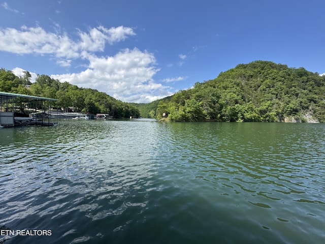 Hiawatha Ln, Caryville, TN 37714