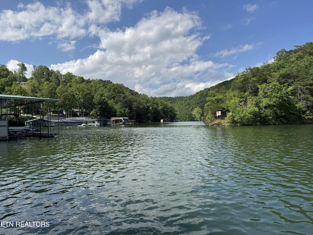 Hiawatha Ln, Caryville, TN 37714