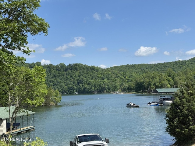Hiawatha Ln, Caryville, TN 37714
