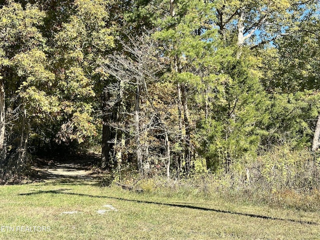 Leatherwood Ford Rd, Jamestown, TN 38556 - photo 6