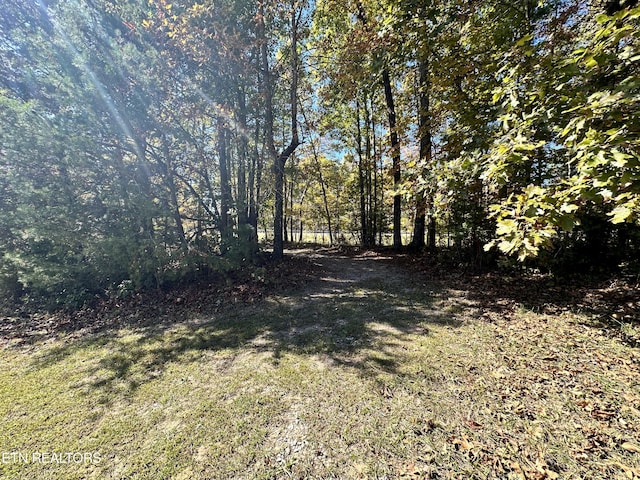 Leatherwood Ford Rd, Jamestown, TN 38556 - photo 9