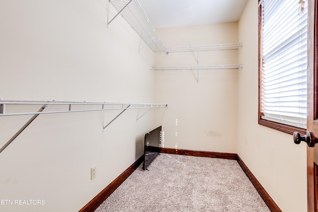 walk in closet with carpet