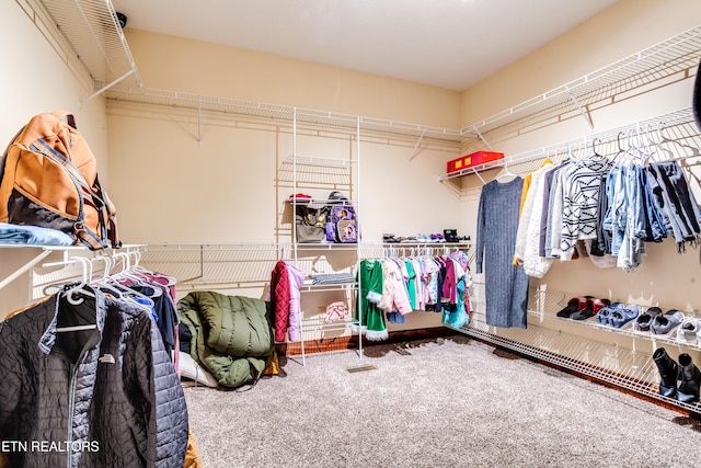 walk in closet with carpet flooring