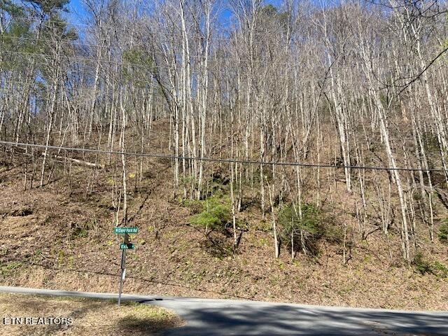 LOT1 N Clear Fork Rd, Sevierville TN, 37862 land for sale