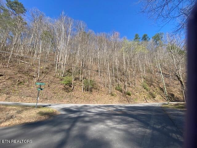 Listing photo 2 for LOT1 N Clear Fork Rd, Sevierville TN 37862