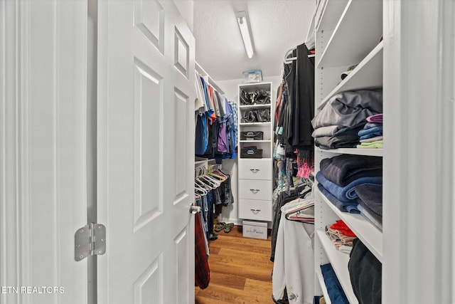 walk in closet featuring wood-type flooring