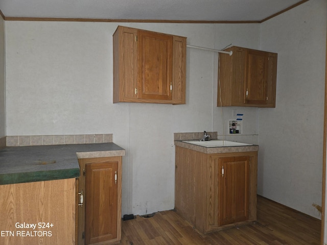 laundry area featuring ornamental molding, dark hardwood / wood-style floors, and sink