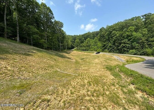 Listing photo 3 for LOT13 Venado Dr, Middlesboro KY 40965